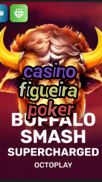casino figueira poker-w4cy2mdjlx2bf.com